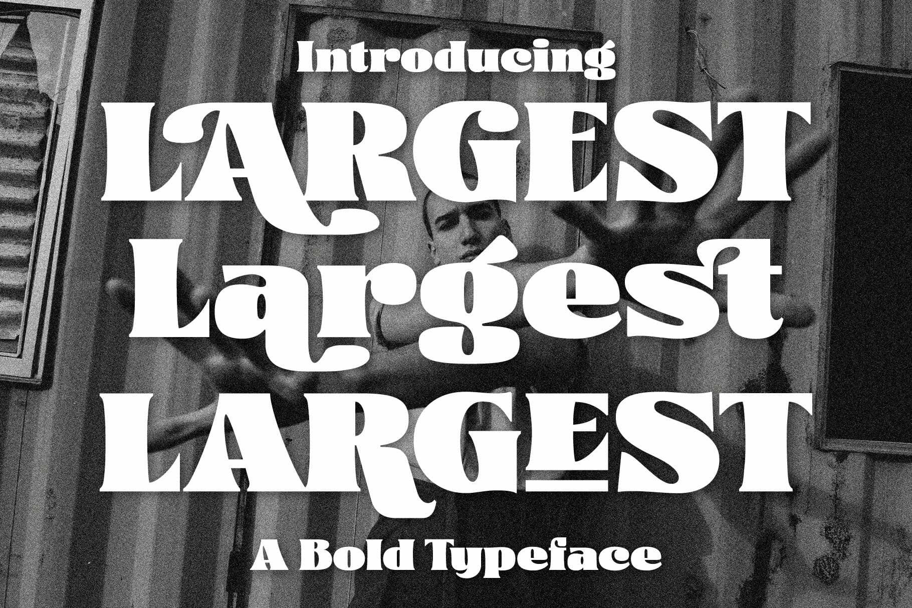 largest-display-typeface-2