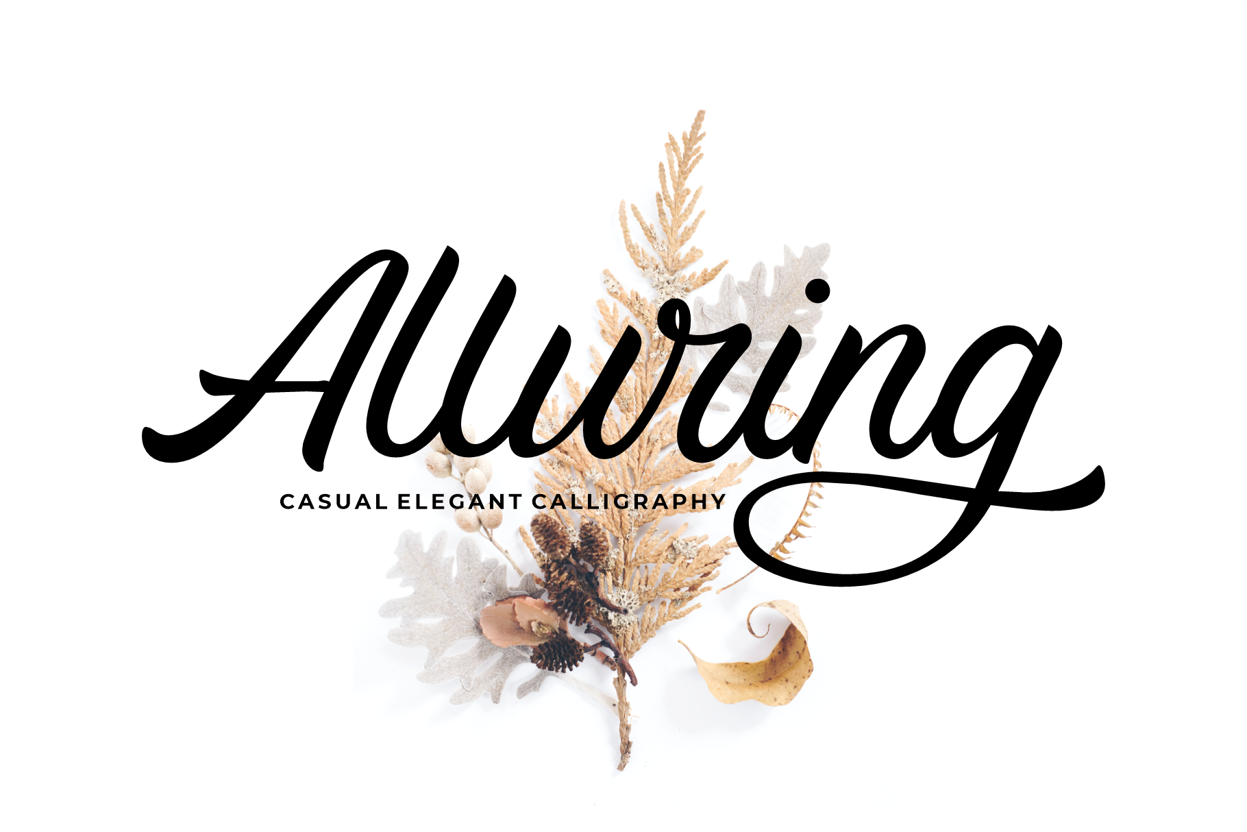 alluring-fonts-modern-calligraphy